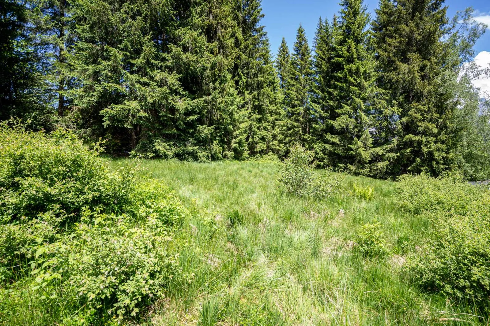 Grundstück in Filzmoos, Foto 10 von 12
